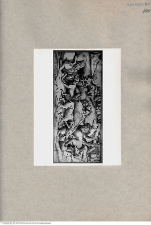 Vorderseite von  [http://creativecommons.org/publicdomain/mark/1.0/] Tiere - , bh091048. Foto.