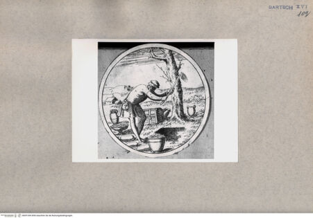 Vorderseite von  [http://creativecommons.org/publicdomain/mark/1.0/] Geiz (Detail) - , bh091094. Foto.