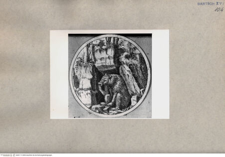 Vorderseite von  [http://creativecommons.org/publicdomain/mark/1.0/] Faulheit (Detail) - , bh091113. Foto.