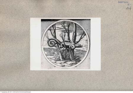 Vorderseite von  [http://creativecommons.org/publicdomain/mark/1.0/] Faulheit (Detail) - , bh091114. Foto.