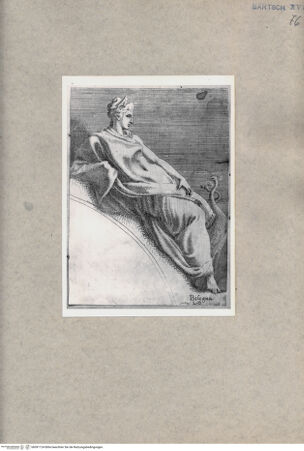 Vorderseite von  [http://creativecommons.org/publicdomain/mark/1.0/] Juno - , bh091124. Foto.