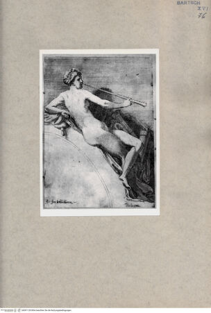 Vorderseite von  [http://creativecommons.org/publicdomain/mark/1.0/] Euterpe - , bh091128. Foto.