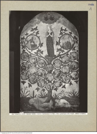 Vorderseite von bh091184_recto