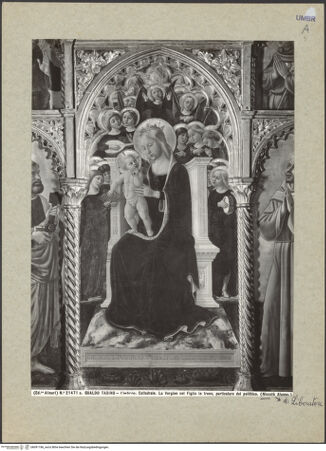 Vorderseite von bh091186_recto