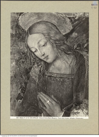 Vorderseite von bh091298_bh009297_recto