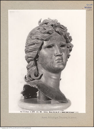 Vorderseite von Alinari [https://www.deutsche-digitale-bibliothek.de/content/lizenzen/rv-ez/] Kopf des Apollo Citaredus - Seitenansicht, bh091667_recto. Foto.