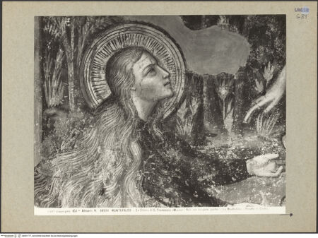 Vorderseite von Alinari [https://www.deutsche-digitale-bibliothek.de/content/lizenzen/rv-ez/] Szenen der Passionsgeschichte, Heilige und ProphetenKreuzigung Christi - Detail: Maria Magdalena und Franziskus, bh091777_recto. Foto.