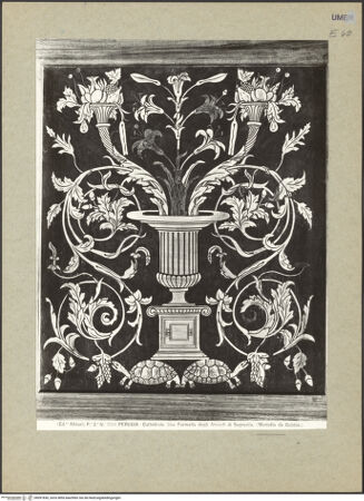 Vorderseite von bh091830_recto