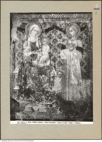 Vorderseite von bh091841_recto