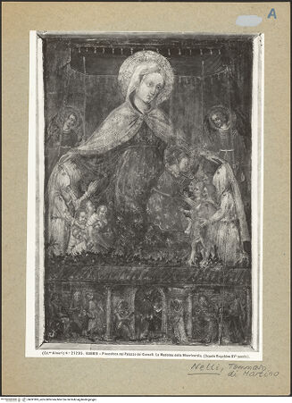 Vorderseite von bh091895_recto