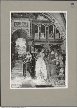 Vorderseite von bh092242_recto