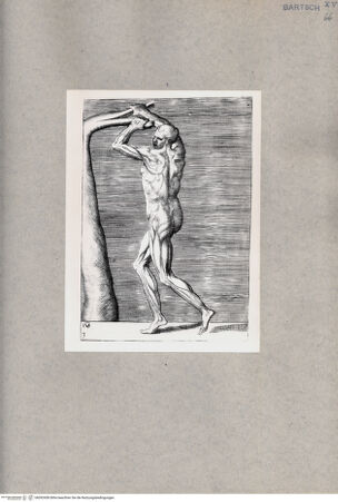 Vorderseite von  [http://creativecommons.org/publicdomain/mark/1.0/] Seitliche anatomische Darstellung eines Mannes - , bh092458. Foto.