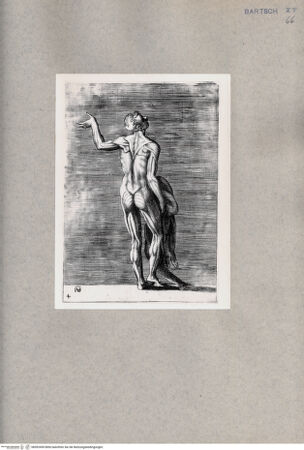 Vorderseite von  [http://creativecommons.org/publicdomain/mark/1.0/] Anatomische Darstellung eines Mannes von hinten - , bh092459. Foto.