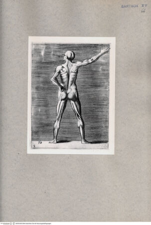 Vorderseite von  [http://creativecommons.org/publicdomain/mark/1.0/] Anatomische Darstellung eines Mannes von hinten - , bh092460. Foto.