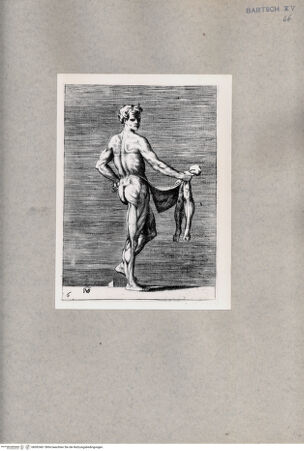 Vorderseite von  [http://creativecommons.org/publicdomain/mark/1.0/] Seitliche anatomische Darstellung eines Mannes - , bh092461. Foto.