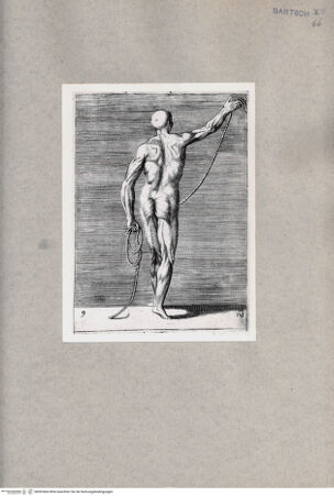 Vorderseite von  [http://creativecommons.org/publicdomain/mark/1.0/] Anatomische Darstellung eines Mannes von hinten - , bh092464. Foto.