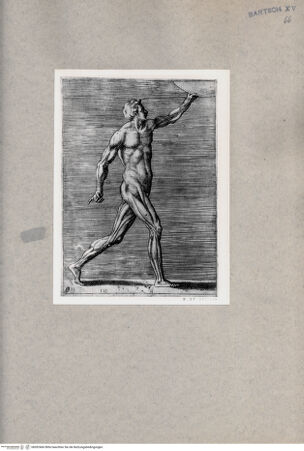 Vorderseite von  [http://creativecommons.org/publicdomain/mark/1.0/] Seitliche anatomische Darstellung eines Mannes - , bh092466. Foto.