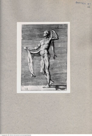 Vorderseite von  [http://creativecommons.org/publicdomain/mark/1.0/] Seitliche anatomische Darstellung eines Mannes - , bh092467. Foto.