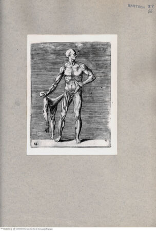 Vorderseite von  [http://creativecommons.org/publicdomain/mark/1.0/] Anatomische Darstellung eines Mannes - , bh092468. Foto.