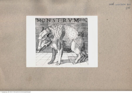 Vorderseite von  [http://creativecommons.org/publicdomain/mark/1.0/] Monstrum - , bh092471. Foto.