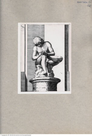 Vorderseite von  [http://creativecommons.org/publicdomain/mark/1.0/] Dornauszieher - , bh092480. Foto.