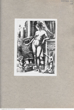 Vorderseite von  [http://creativecommons.org/publicdomain/mark/1.0/] Leda und der Schwan - , bh092493. Foto.