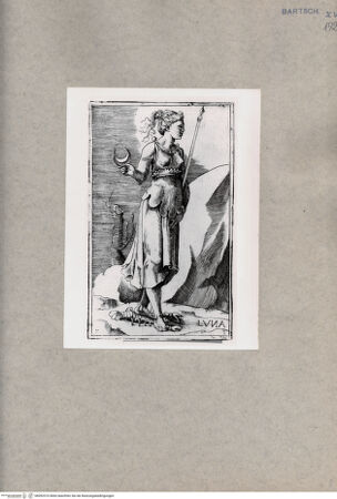 Vorderseite von  [http://creativecommons.org/publicdomain/mark/1.0/] Luna - , bh092510. Foto.