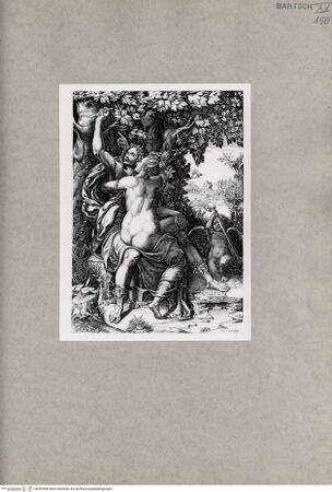 Vorderseite von  [http://creativecommons.org/publicdomain/mark/1.0/] Angelica und Medoro - , bh092548. Foto.