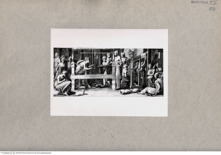 Vorderseite von  [http://creativecommons.org/publicdomain/mark/1.0/] Penelope - , bh092556. Foto.