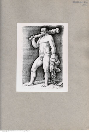 Vorderseite von  [http://creativecommons.org/publicdomain/mark/1.0/] Herkules - , bh092567. Foto.