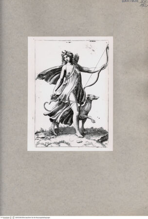 Vorderseite von  [http://creativecommons.org/publicdomain/mark/1.0/] Diana - , bh092568. Foto.