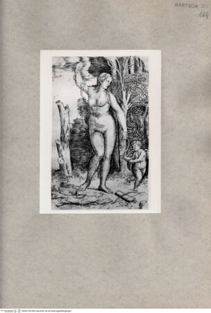 Vorderseite von  [http://creativecommons.org/publicdomain/mark/1.0/] Cleopatra - , bh092766. Foto.