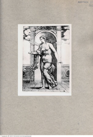 Vorderseite von  [http://creativecommons.org/publicdomain/mark/1.0/] Lucretia - , bh092767. Foto.