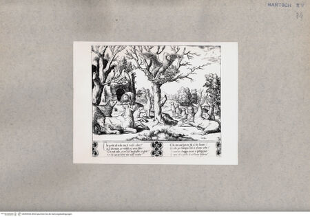 Vorderseite von  [http://creativecommons.org/publicdomain/mark/1.0/] Phoenix - , bh092826. Foto.