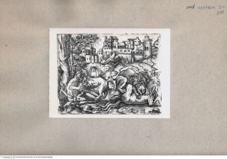 Vorderseite von  [http://creativecommons.org/publicdomain/mark/1.0/] Löwen, die einen Hirsch und ein Pferd angreifen - , bh092848. Foto.