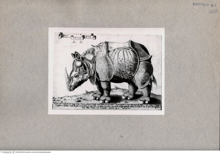 Vorderseite von  [http://creativecommons.org/publicdomain/mark/1.0/] Nashorn - , bh092849. Foto.