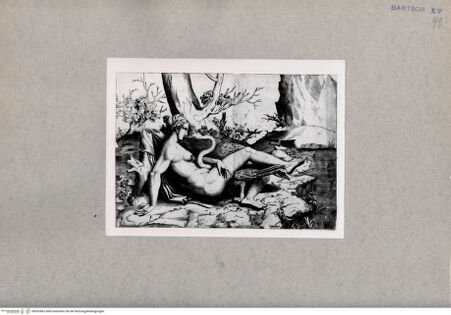 Vorderseite von  [http://creativecommons.org/publicdomain/mark/1.0/] Leda und der Schwan - , bh092862. Foto.