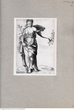 Vorderseite von  [http://creativecommons.org/publicdomain/mark/1.0/] Flora - , bh092865. Foto.