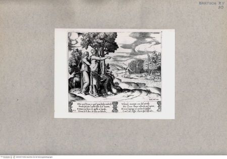 Vorderseite von  [http://creativecommons.org/publicdomain/mark/1.0/] Psyche sucht das goldene Vlies - , bh092879. Foto.