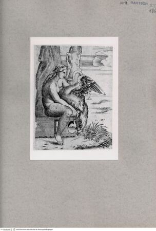 Vorderseite von  [http://creativecommons.org/publicdomain/mark/1.0/] Leda und der Schwan - , bh092949. Foto.