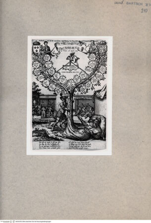 Vorderseite von  [http://creativecommons.org/publicdomain/mark/1.0/] Stammbaum - , bh092952. Foto.