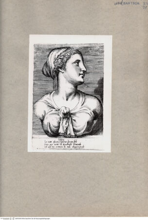 Vorderseite von  [http://creativecommons.org/publicdomain/mark/1.0/] Weibliche Büste Latona ? - , bh092965. Foto.