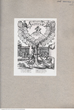 Vorderseite von  [http://creativecommons.org/publicdomain/mark/1.0/] Stammbaum - , bh092975. Foto.