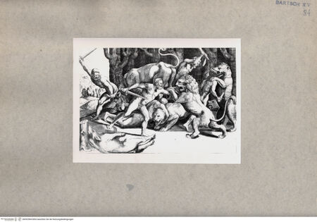 Vorderseite von  [http://creativecommons.org/publicdomain/mark/1.0/] Kampf zwischen Männern und Tieren - , bh092984. Foto.