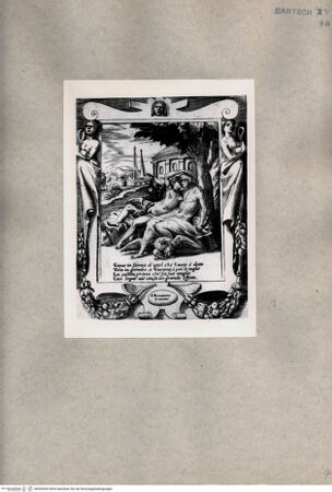 Vorderseite von  [http://creativecommons.org/publicdomain/mark/1.0/] Geschichte der Juno: Jupiter verwandelt sich in einen Schwan - , bh093004. Foto.