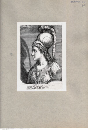 Vorderseite von  [http://creativecommons.org/publicdomain/mark/1.0/] Minerva - , bh093030. Foto.