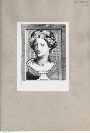 Vorderseite von  [http://creativecommons.org/publicdomain/mark/1.0/] Juno - , bh093032. Foto.