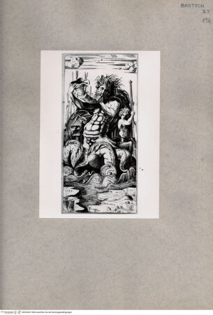 Vorderseite von  [http://creativecommons.org/publicdomain/mark/1.0/] Triton - , bh093047. Foto.