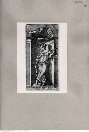 Vorderseite von  [http://creativecommons.org/publicdomain/mark/1.0/] Libysche Sibylle - , bh093052. Foto.