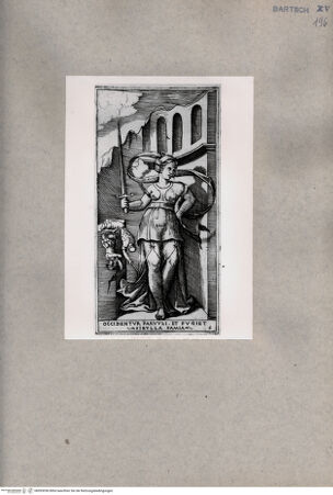 Vorderseite von  [http://creativecommons.org/publicdomain/mark/1.0/] Samische Sibylle - , bh093056. Foto.